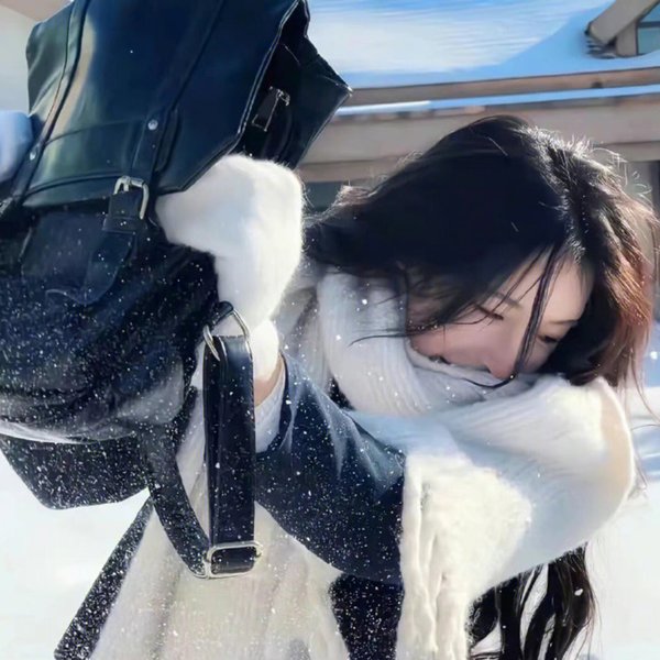 奈何太子他偏要宠