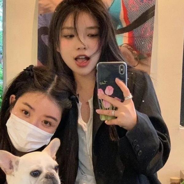 当比约克遇上爱丁堡